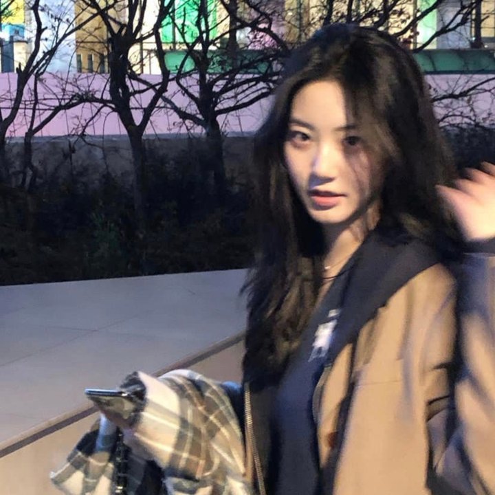 玉米上的麻雀
