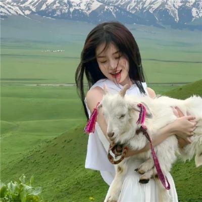 津门三少爷